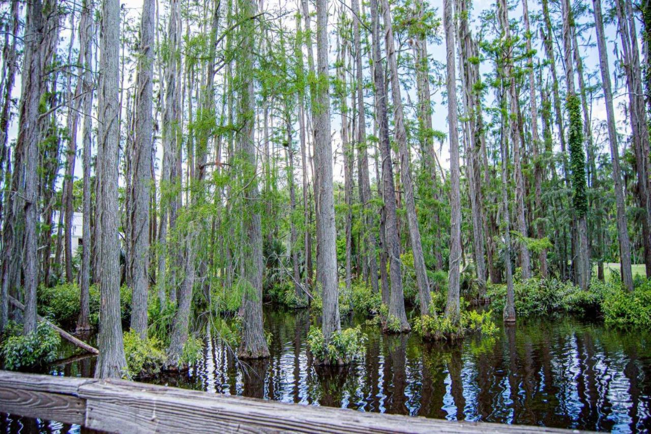 Serene Hideaway Wesley Chapel Exterior foto
